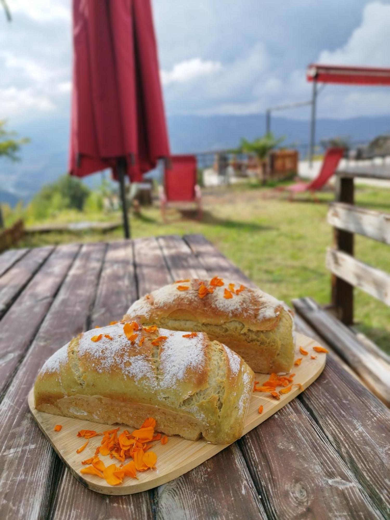 Hayat Oksijen Resort Ordu Exterior photo